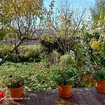 Casa Albinelor بيت ضيافة *