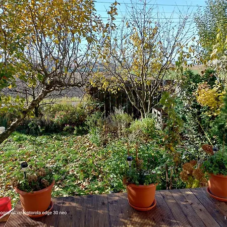 Casa Albinelor 招待所 *