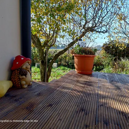 招待所 Casa Albinelor 布拉索夫