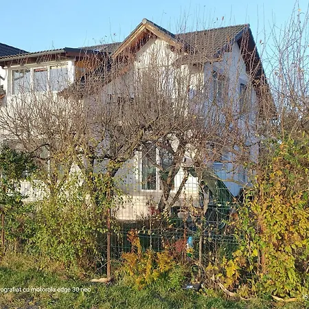 招待所 Casa Albinelor