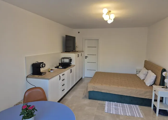 Casa Albinelor 招待所