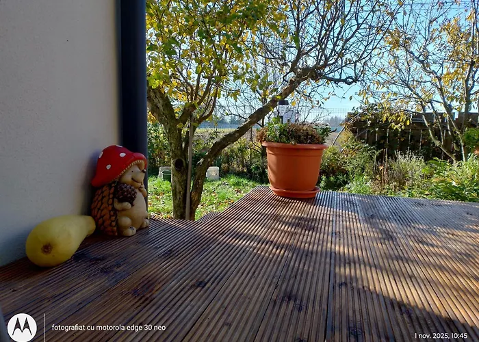 招待所 Casa Albinelor 布拉索夫