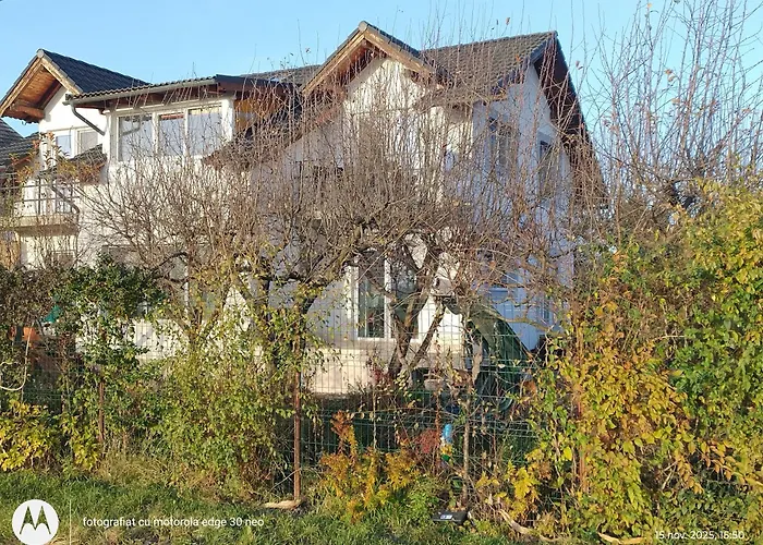 招待所 Casa Albinelor