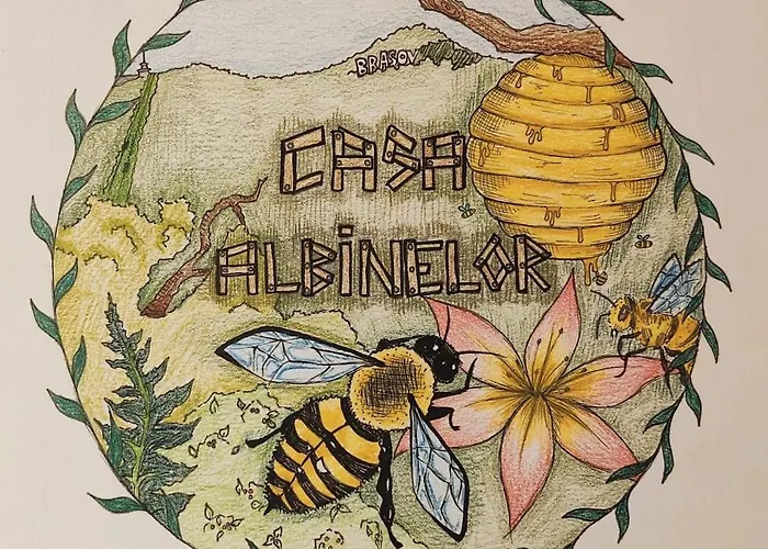 招待所 Casa Albinelor