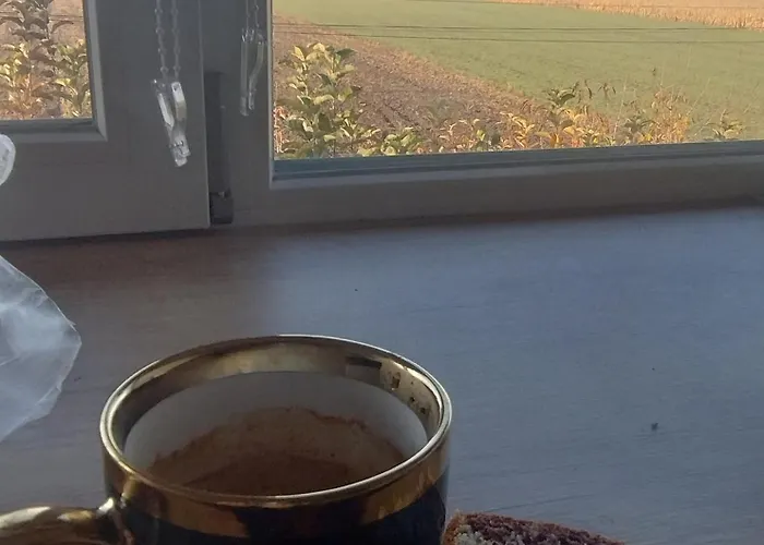 Casa Albinelor 招待所 布拉索夫