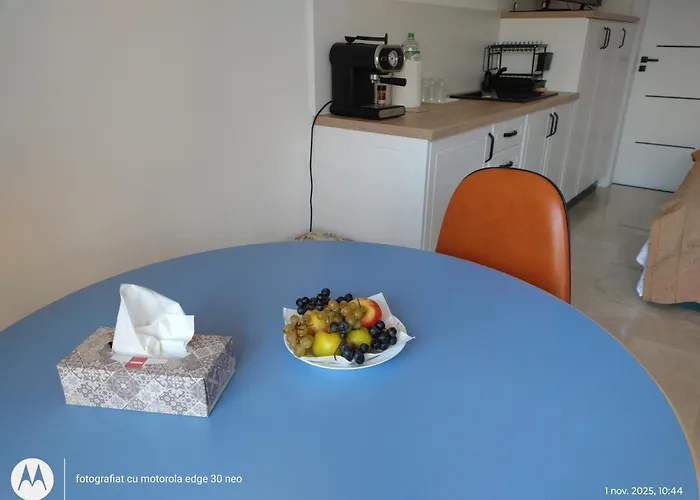 招待所 Casa Albinelor *