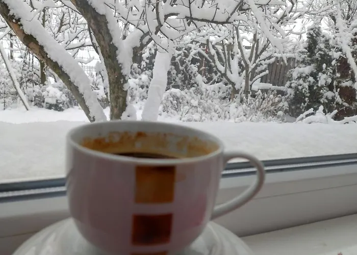 Casa Albinelor 招待所