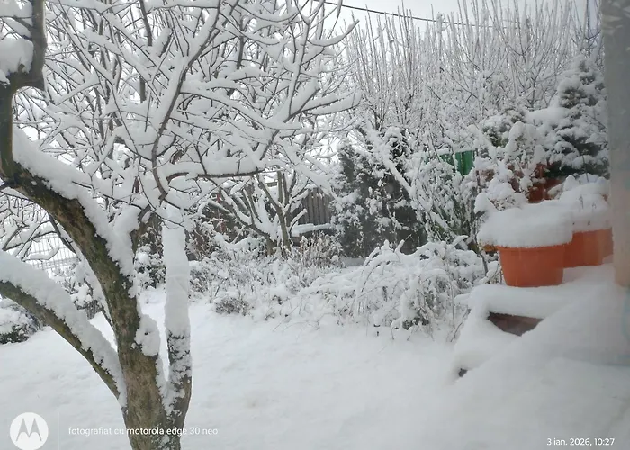 招待所 Casa Albinelor